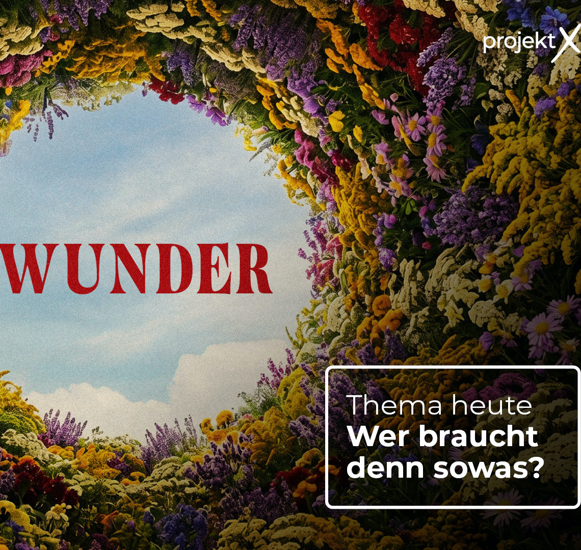 07. Juni 2026: Wunder - Wer braucht denn sowas?